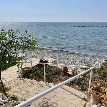 Seaside Zygi