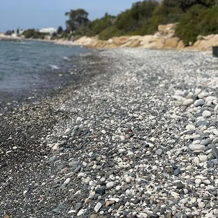 Seaside * Zygi